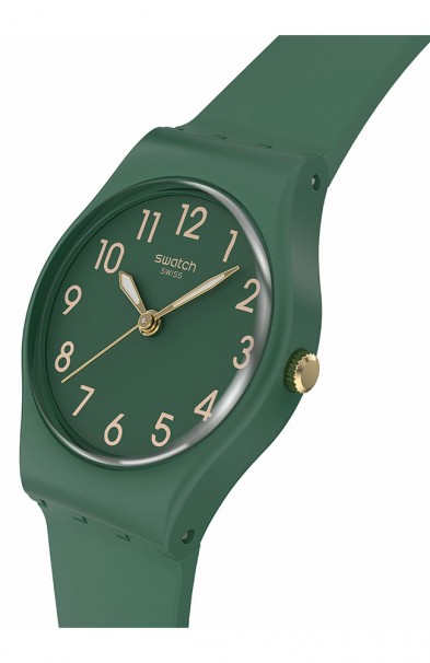 SWATCH Notes Of Pecan Green Silicone Strap LG130 